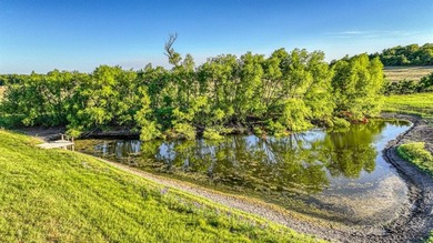 (private lake, pond, creek) Acreage For Sale in Springtown Texas