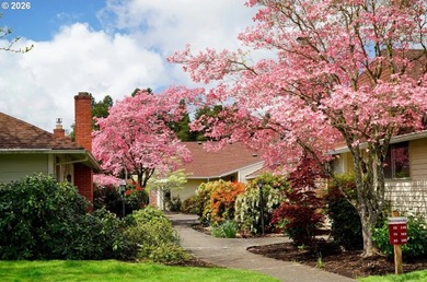 Best value! Opportunity awaits with this rare single-level home - photo 24