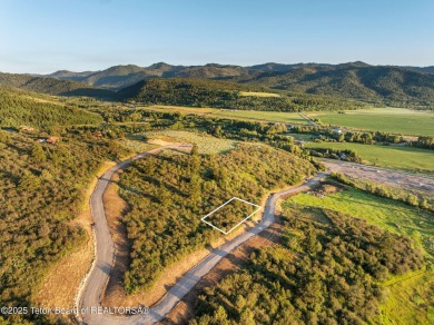 (private lake, pond, creek) Lot For Sale in Victor Idaho