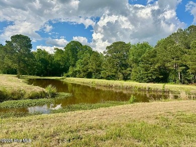 Lake Acreage For Sale in Cerro Gordo, North Carolina