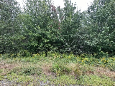 4 Addie Road is a surveyed and soil tested 1.23 acre lot on a - photo 4