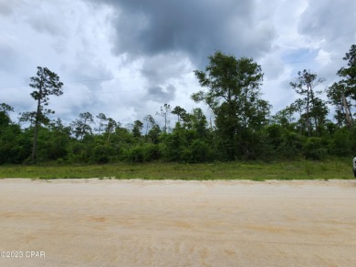 (private lake, pond, creek) Lot For Sale in Alford Florida