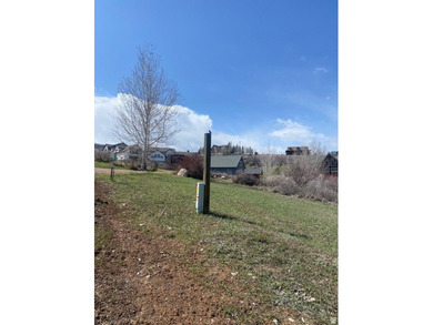 Beautiful 1.03 acre building lot located in Aspen Creek Estates - photo 9