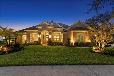 (private lake, pond, creek) Home For Sale in Lithia Florida