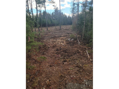 Penobscot River Acreage For Sale in Orrington Maine