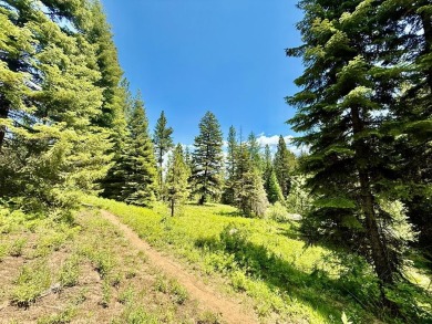 Lake Cascade  Lot For Sale in Donnelly Idaho