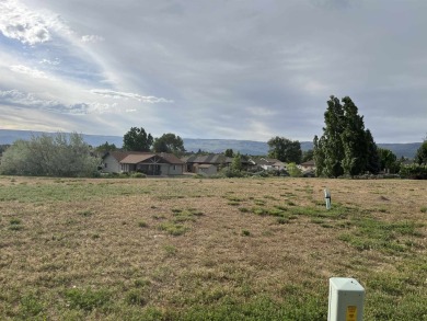 (private lake, pond, creek) Lot For Sale in Cedaredge Colorado