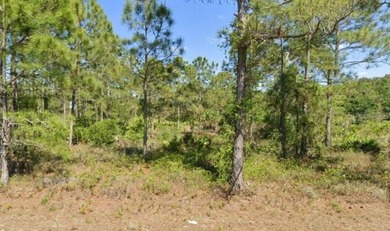 Lehigh Acres Area Lot Sale Pending in Lehigh Acres Florida
