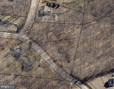 BEAUTIFUL WOODED LOT IN LAKE ANNA COMMUNITY PROVIDING ACCESS - photo 3