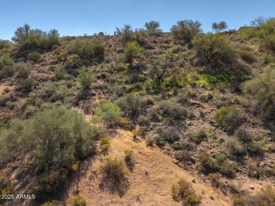 FULLY APPROVED CITY AND HOA PLANS for this beautiful 4128 foot 4 - photo 8