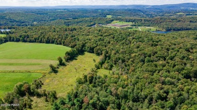 Prompton Lake  Acreage For Sale in Honesdale Pennsylvania