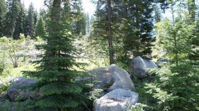 Payette Lake Lot For Sale in Mccall Idaho