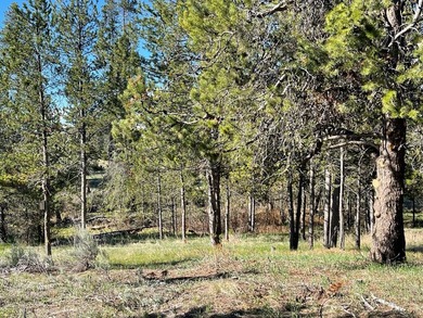 -Priced to Sell- Don't miss this opportunity to secure one of - photo 11