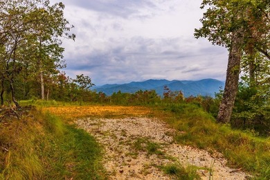 Fontana Lake Acreage For Sale in Bryson City North Carolina