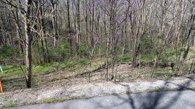Seasonal view and walk to the water. This gently rolling lot - photo 2