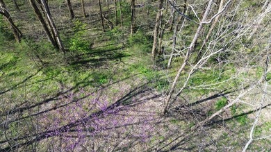 Seasonal view and walk to the water. This gently rolling lot - photo 4