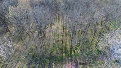 Seasonal view and walk to the water. This gently rolling lot - photo 5
