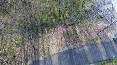 Seasonal view and walk to the water. This gently rolling lot - photo 6