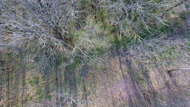 Seasonal view and walk to the water. This gently rolling lot - photo 7