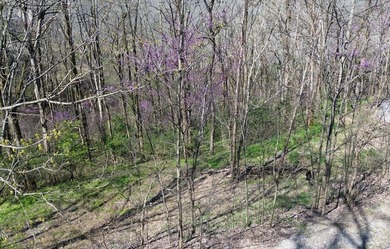 Seasonal view and walk to the water. This gently rolling lot - photo 8