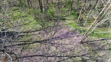 Seasonal view and walk to the water. This gently rolling lot - photo 9