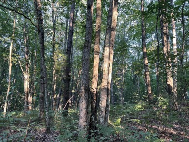 Lake Lot For Sale in Irons, Michigan