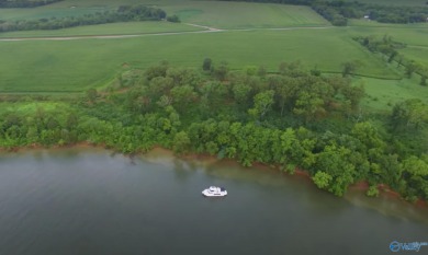 Lake Guntersville Acreage For Sale in Laceys Spring Alabama