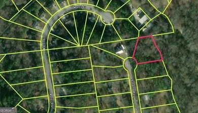 Land opportunity in Snellville. Priced to sell quickly, creating - photo 1