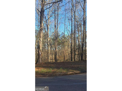 Land opportunity in Snellville. Priced to sell quickly, creating - photo 2