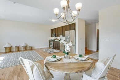 Experience contemporary downtown living at 204 Maple St, Unit - photo 13