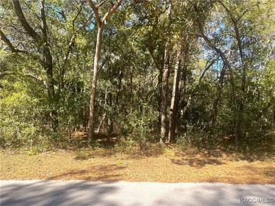 Bonable Lake Lot Sale Pending in Dunnellon Florida