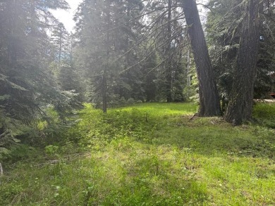 Lake Lot For Sale in Donnelly, Idaho