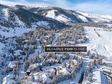Welcome to your mountain retreat in the Vail Valley - photo 28
