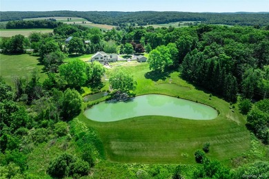 Set on 5.85 private acres just under 90 minutes from Manhattan - photo 33