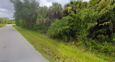 Port Charlotte Waterway Area Lot For Sale in Port Charlotte Florida