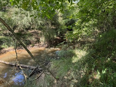 Bogue Chitto River  - Lincoln County Acreage For Sale in Brookhaven Mississippi