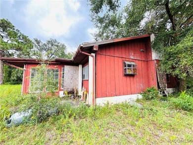 Commercial property on U.S. Highway 19/98 just north of Cardinal - photo 6