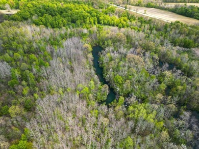 Discover the perfect blend of privacy, natural beauty, and - photo 8