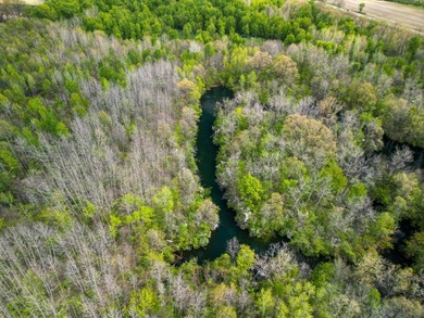 Discover the perfect blend of privacy, natural beauty, and - photo 9