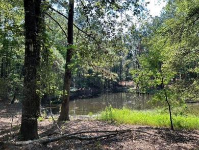 Lake Acreage For Sale in Other, Louisiana