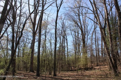 5.15 acre residential lot located on Barton Desoto Road at the - photo 2
