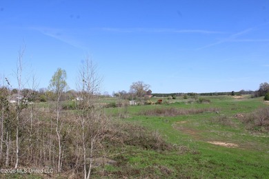 5.15 acre residential lot located on Barton Desoto Road at the - photo 3