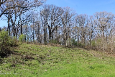 5.15 acre residential lot located on Barton Desoto Road at the - photo 4