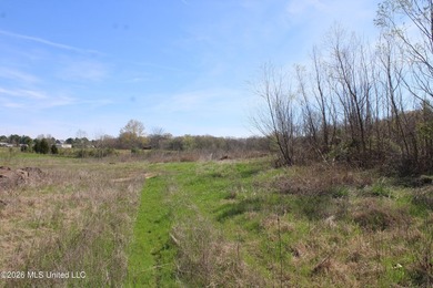 5.15 acre residential lot located on Barton Desoto Road at the - photo 5