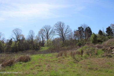 5.15 acre residential lot located on Barton Desoto Road at the - photo 6