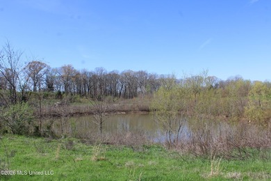 5.15 acre residential lot located on Barton Desoto Road at the - photo 8