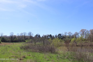 5.15 acre residential lot located on Barton Desoto Road at the - photo 9