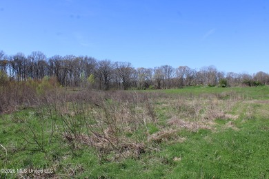 5.15 acre residential lot located on Barton Desoto Road at the - photo 10