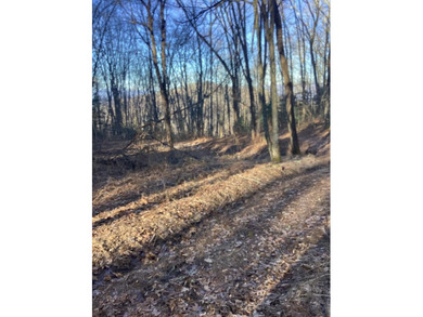 Fontana Lake Acreage For Sale in Bryson City North Carolina