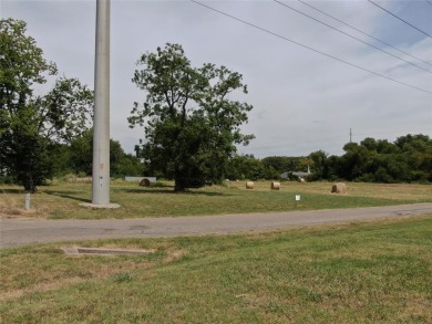 Lake Lot For Sale in Cooper, Texas